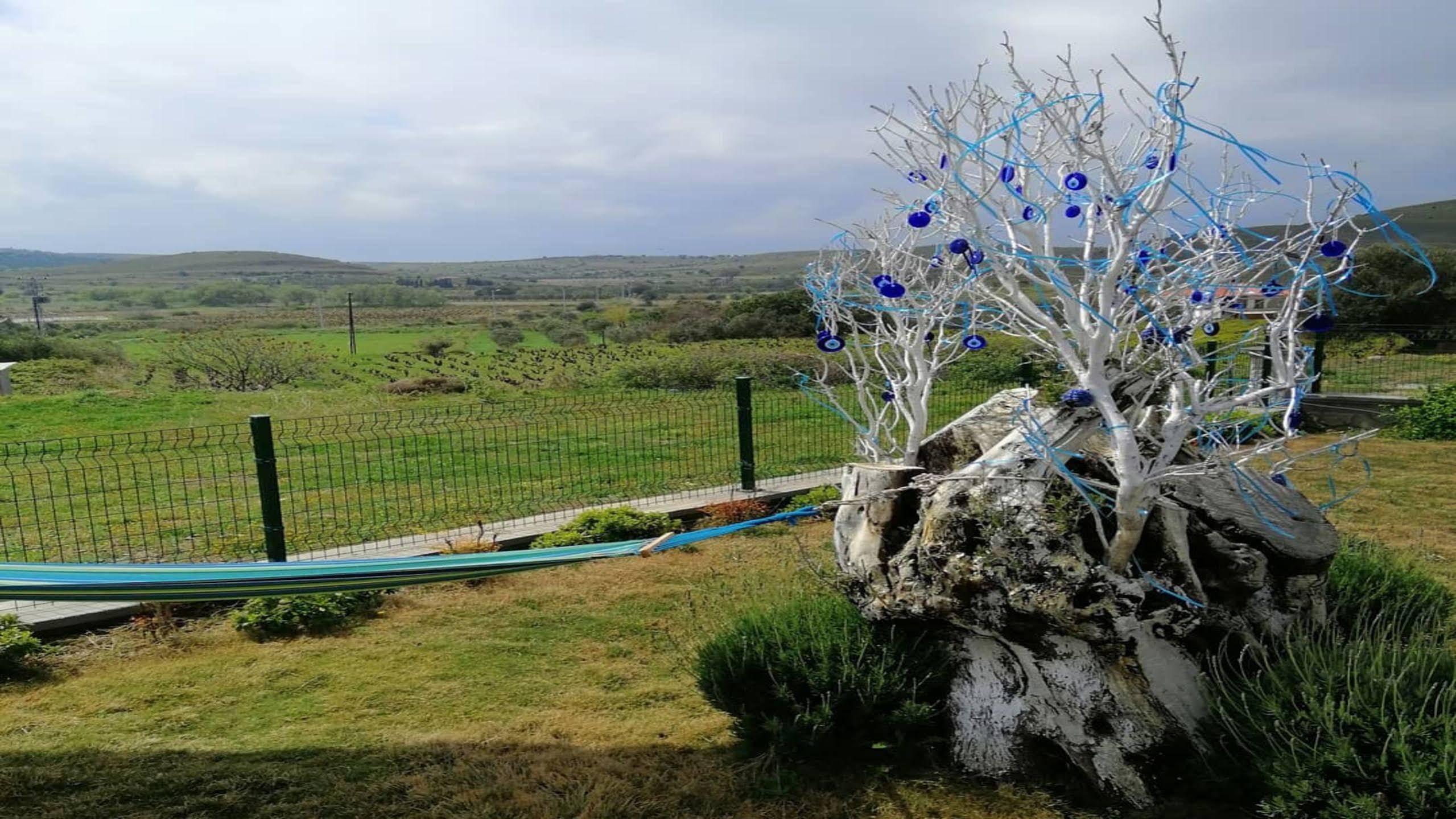 Mylos Hotel Bozcaada Dış mekan fotoğraf